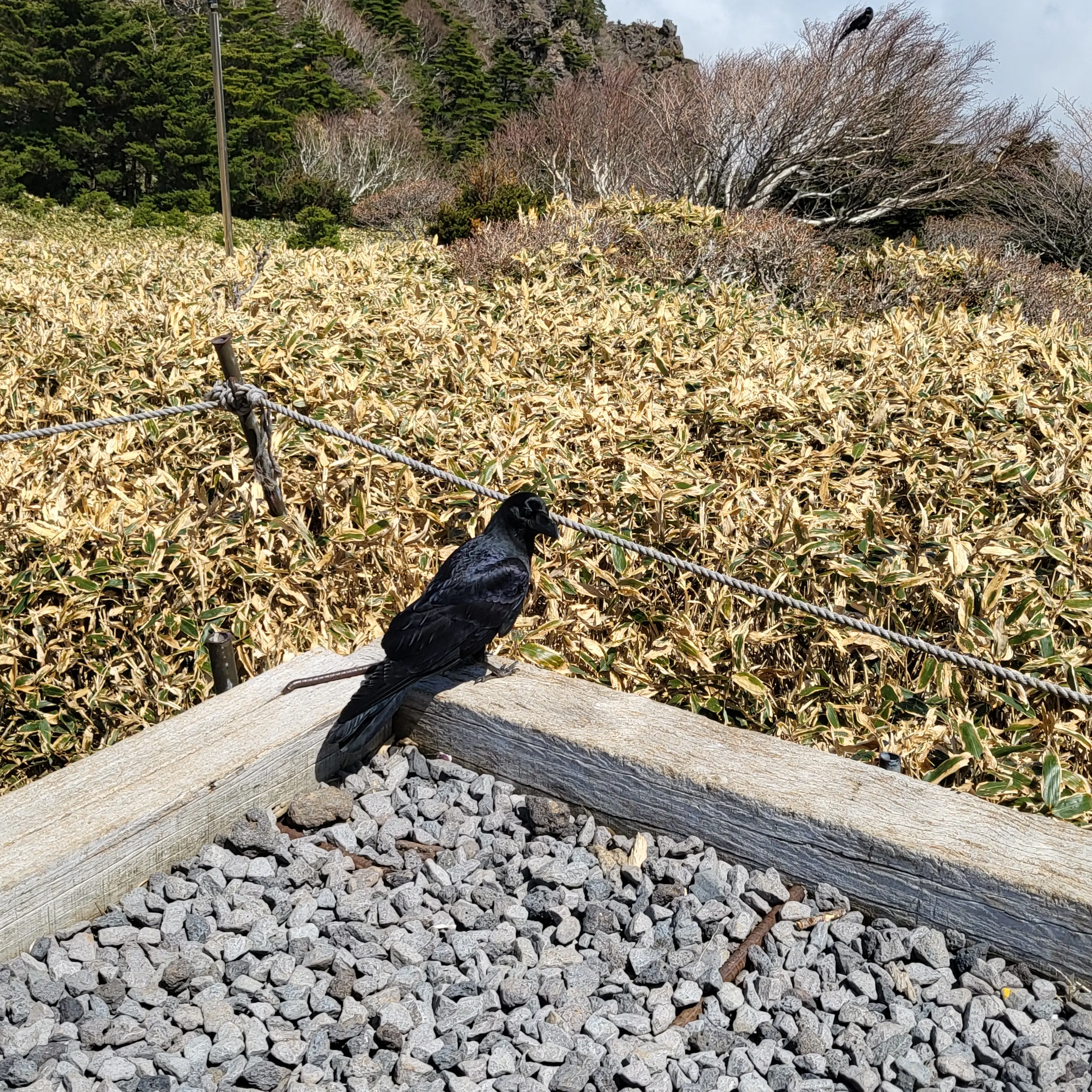 한라산 관음사