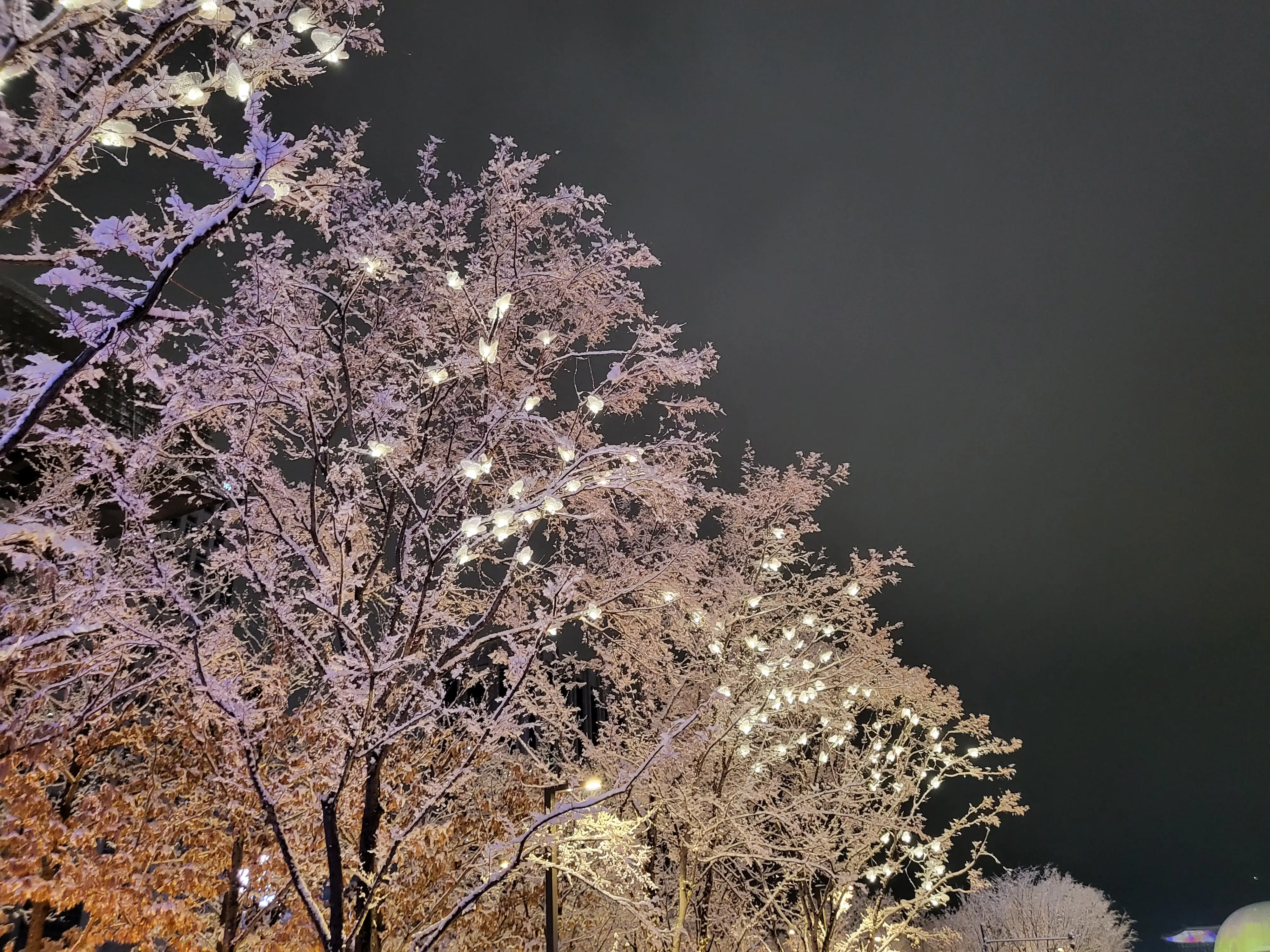 서울빛초롱축제