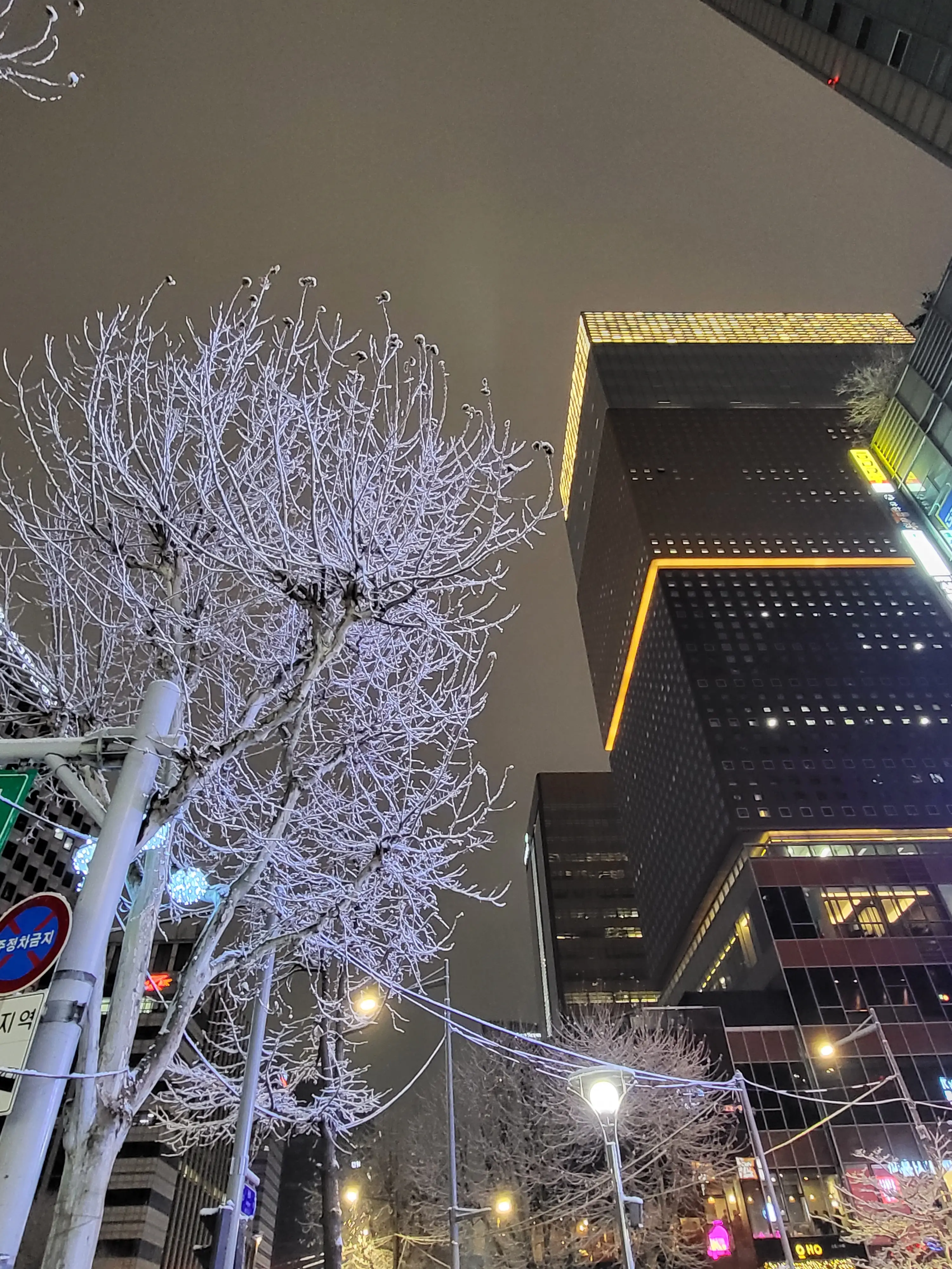 서울빛초롱축제